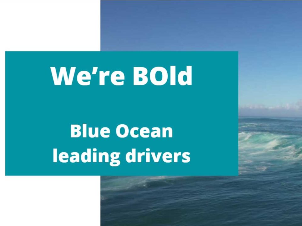 BOld at BlueInvest Day 2021